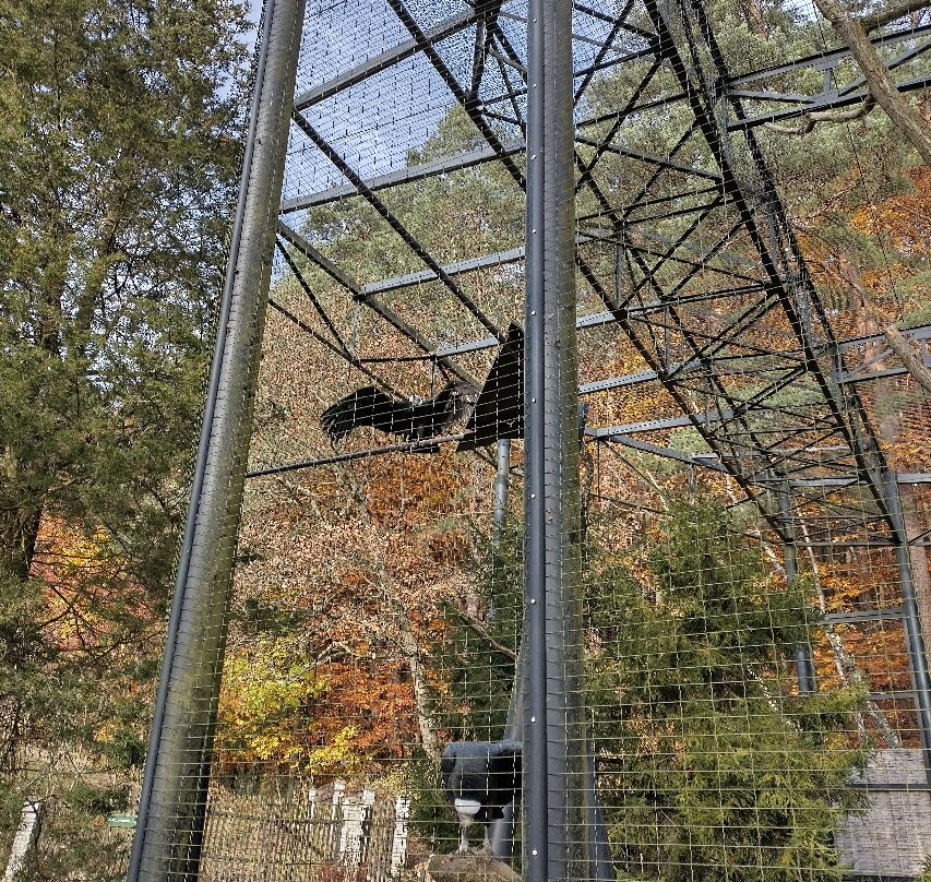 Oliwa Zoo-格但斯克必去景点