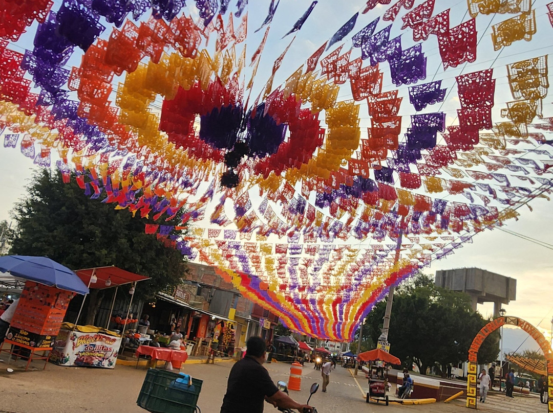 Luis Ramírez Tours Oaxaca-瓦哈卡必去景点