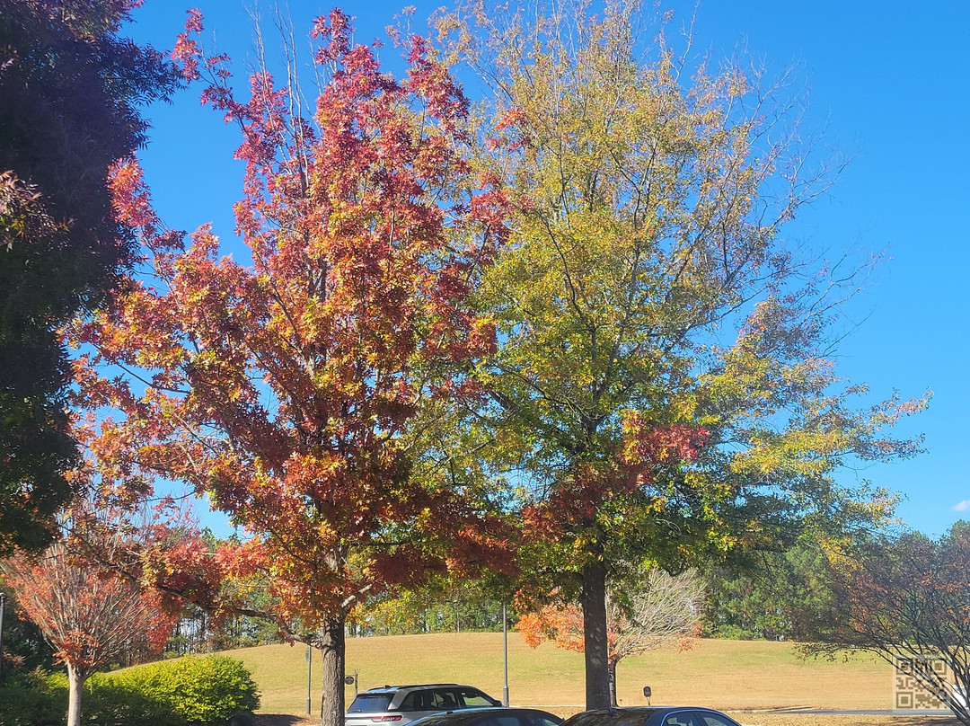 Trailhead Store @ The Gardens At Stowe-Belmont必去景点