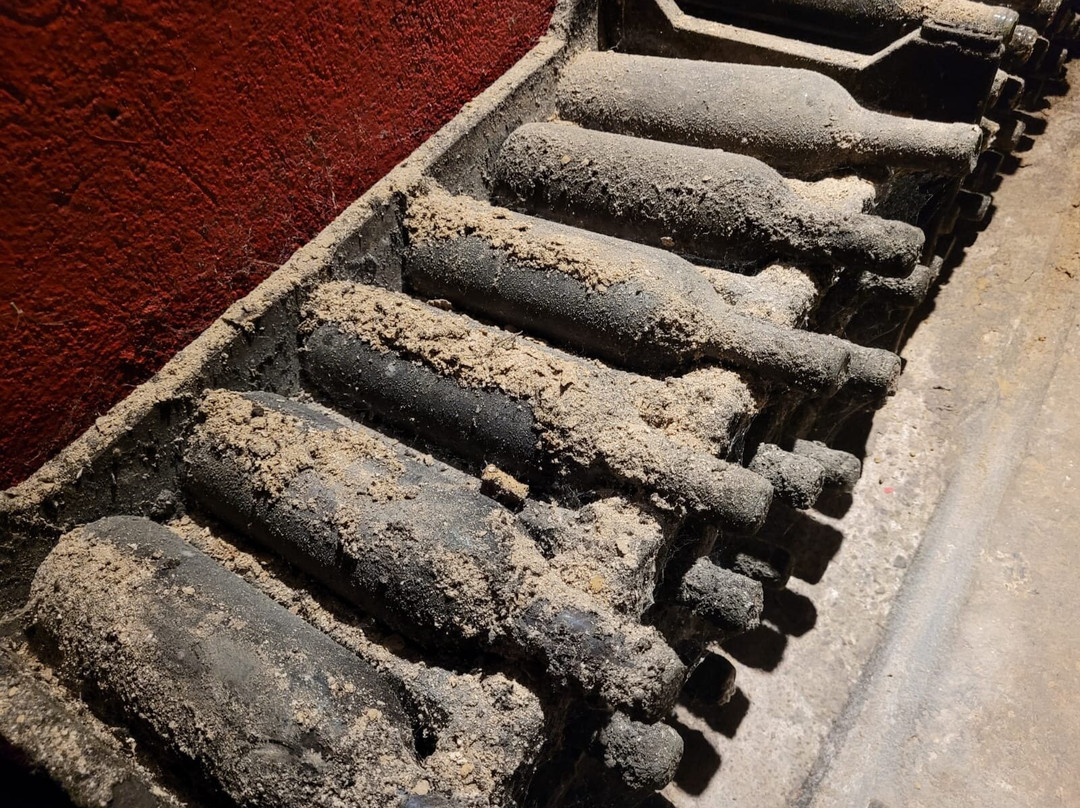 Bodegas Lecea-San Asensio必去景点