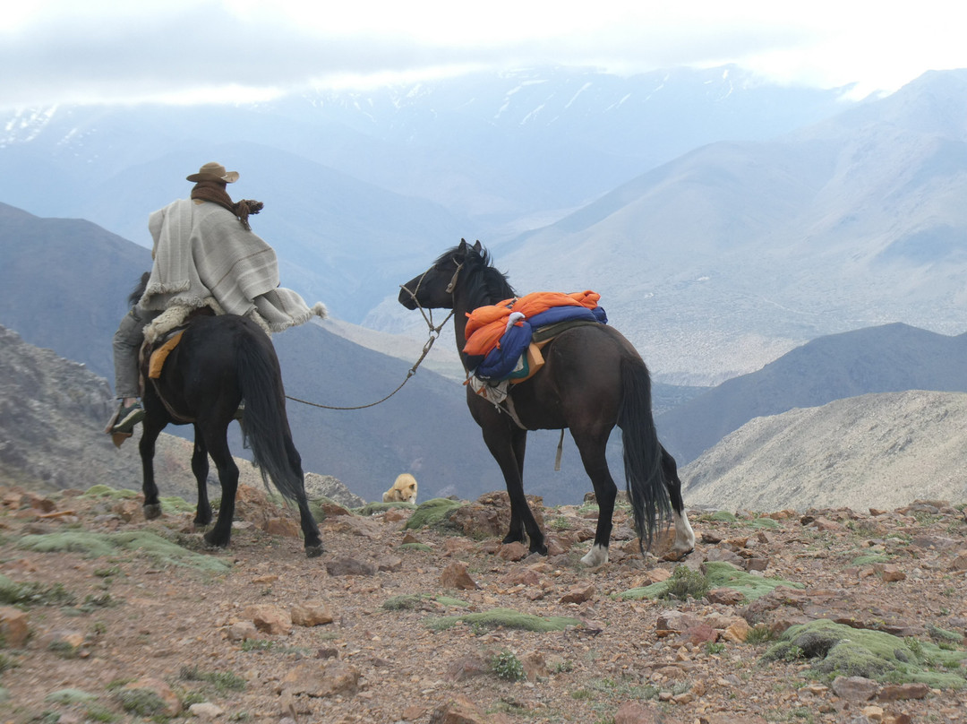 Rancho El Rosario Horse Riding Holidays-门多萨必去景点