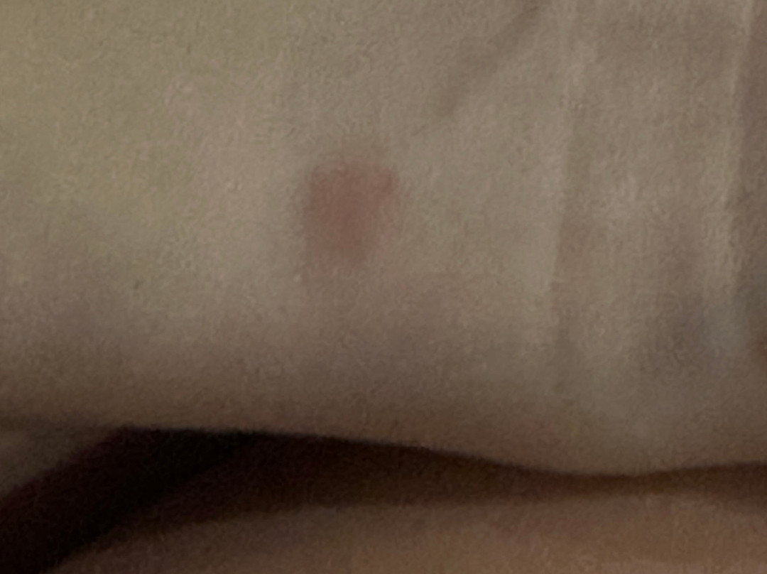 林奇堡希尔顿花园旅馆主图