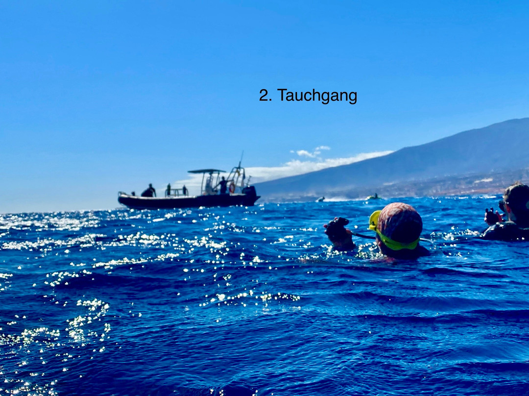 Deep Ocean Diver-圣克鲁斯-德特内里费必去景点