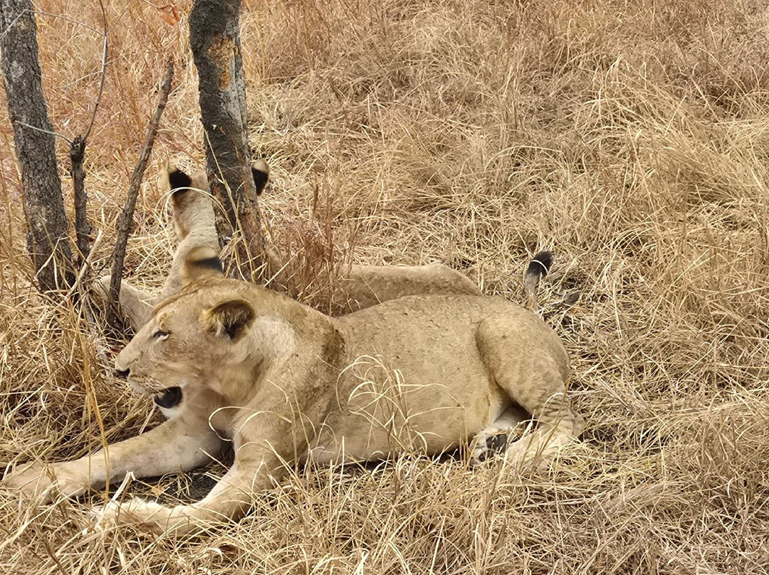 NICE ADVENTURE SAFARI-Dar es Salaam必去景点