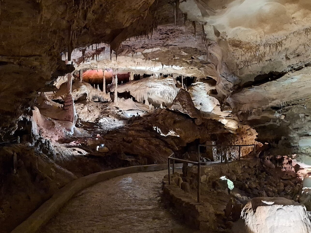 Inner Space Cavern-Georgetown必去景点