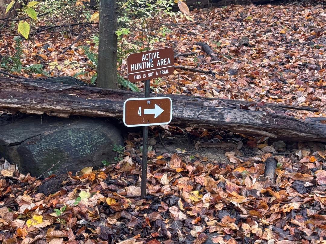 Brandywine Creek State Park-威尔明顿必去景点