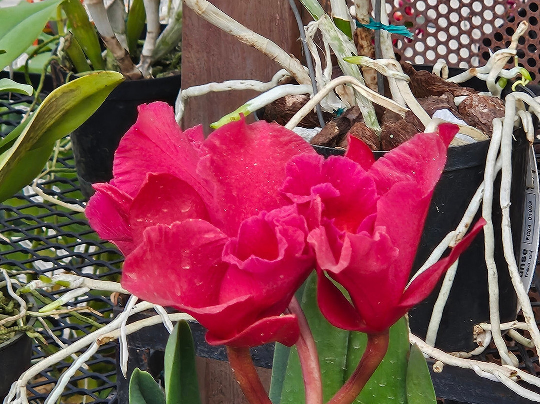 Alma del Bosque-La Ceja必去景点