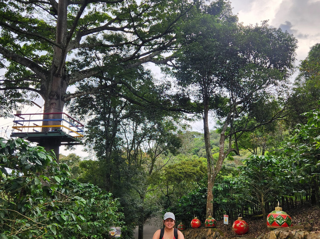 Hacienda La Chimba-圣安娜必去景点