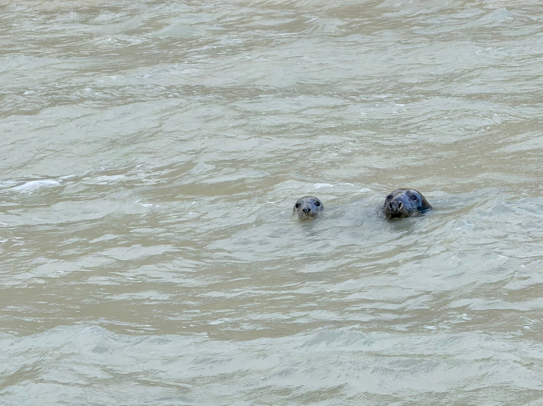 Full Throttle Boat Charters-拉伊必去景点