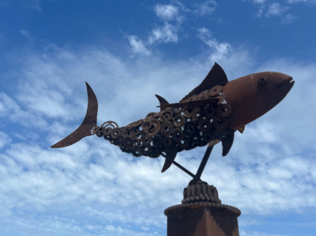 Glenelg - Seacliff Coastal Walking Trail-格莱内尔格必去景点