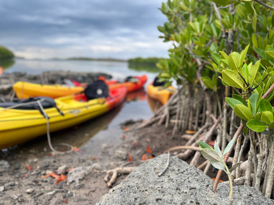 Sea Kayak Adventures-毛里求斯必去景点