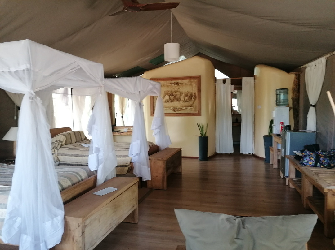 D.M. Tours & Safaris-查佛必去景点