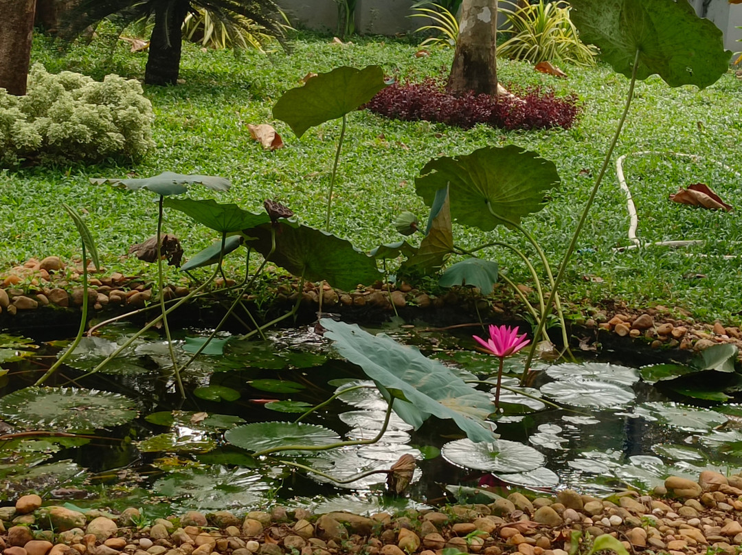 Matt India Ayurveda Centre-阿拉普扎必去景点