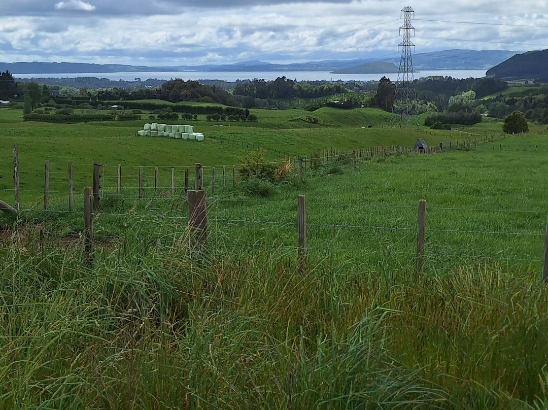 Rotorua Rail Cruising-罗托鲁瓦必去景点