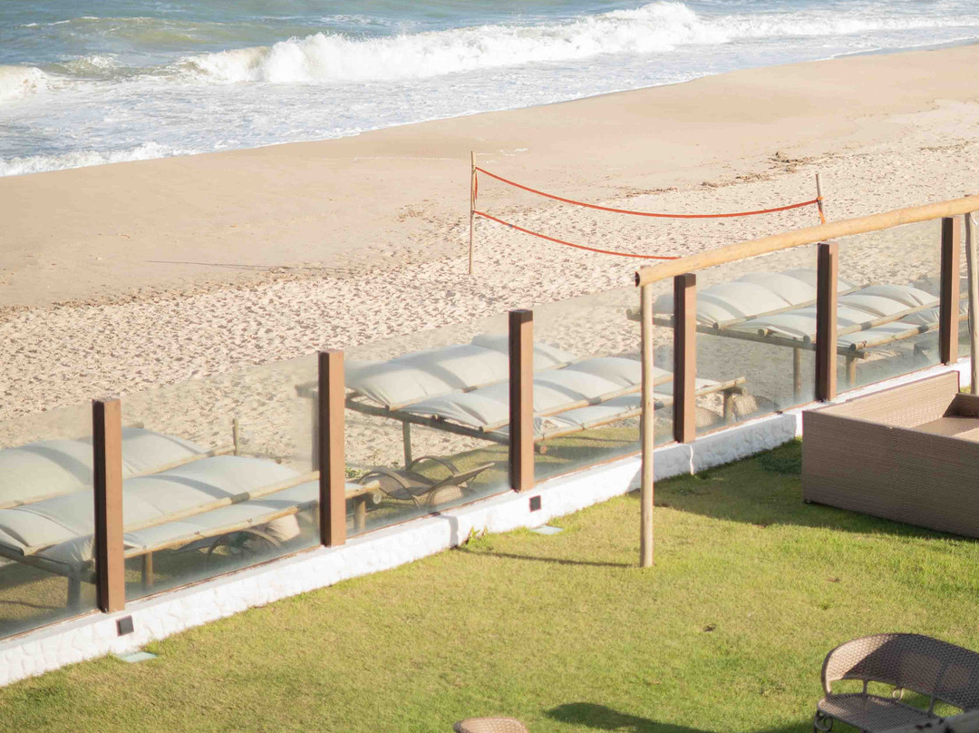 Praia das Tartarugas主图