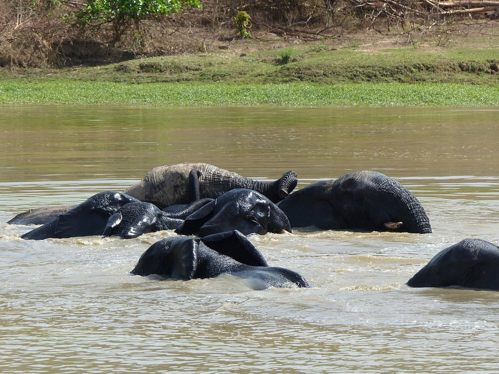 Larabanga Mosque-Larabanga必去景点