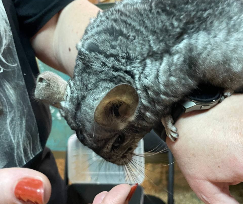 Tula Exotarium-图拉必去景点