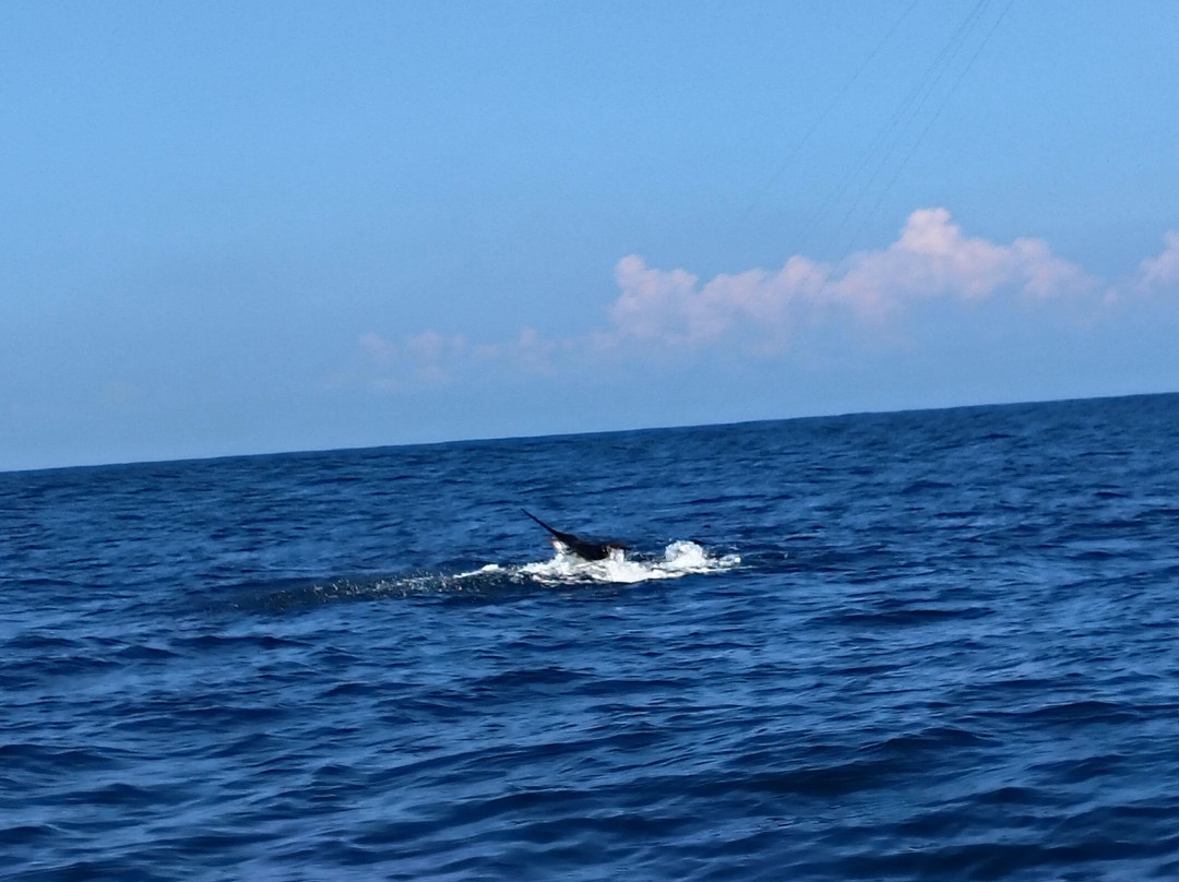 Fishing With Tico Huatulco-Crucecita必去景点