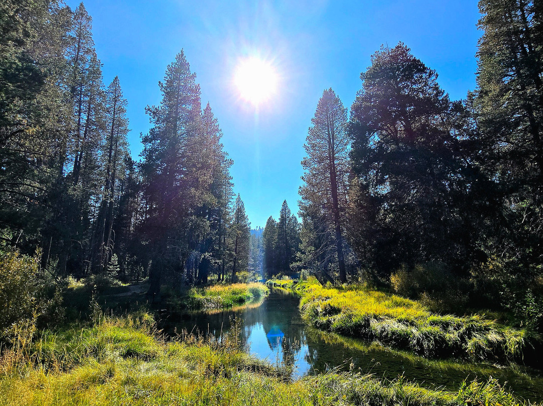 Donner Memorial State Park and Emigrant Trail Museum-特拉基必去景点