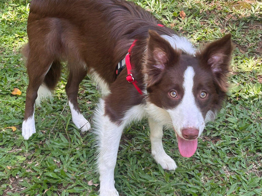 Pousada Acalanto主图