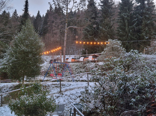 Holzschuh's Schwarzwaldhotel主图