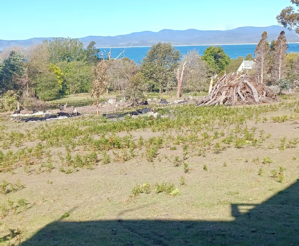 霍利楼酒店主图