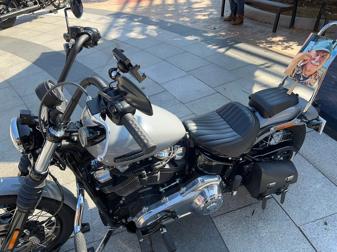 Yeoju Premium Outlets-骊州郡必去景点