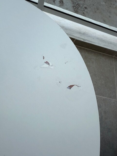 Princess Taurito主图