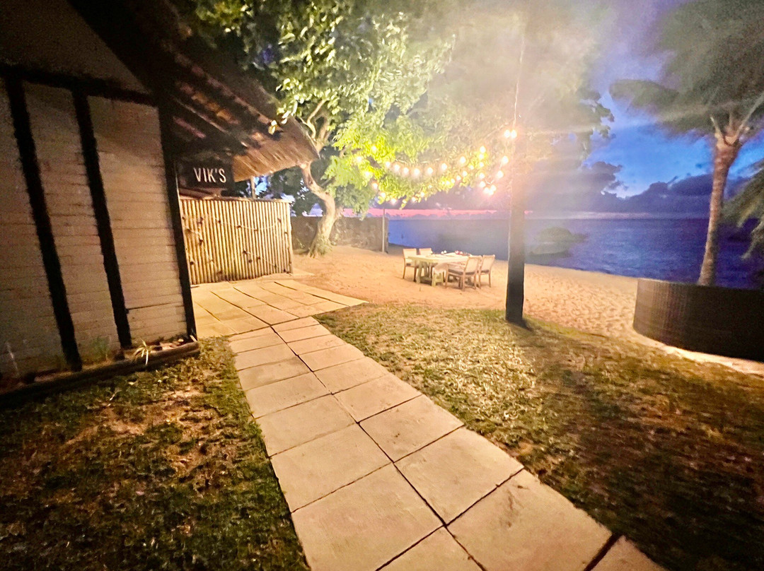 Vik's