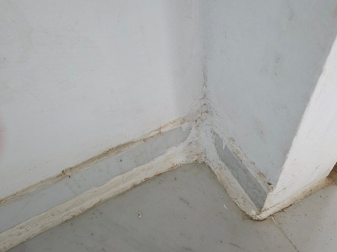 猫禄度假村主图