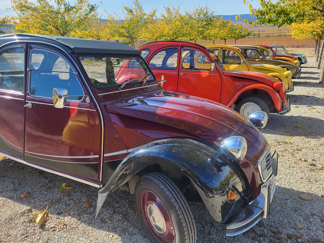 Bodega Tierra De Cubas-Carinena必去景点