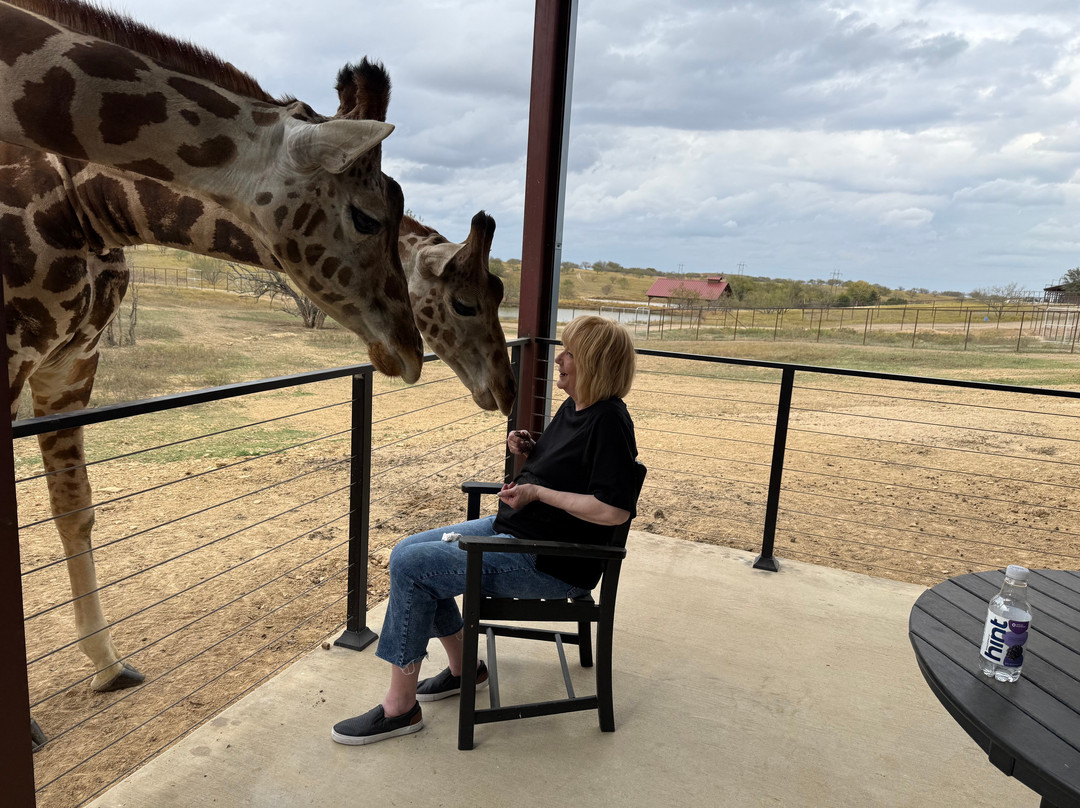 Blue Hills Ranch-McGregor必去景点