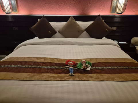 德兰纳酒店主图