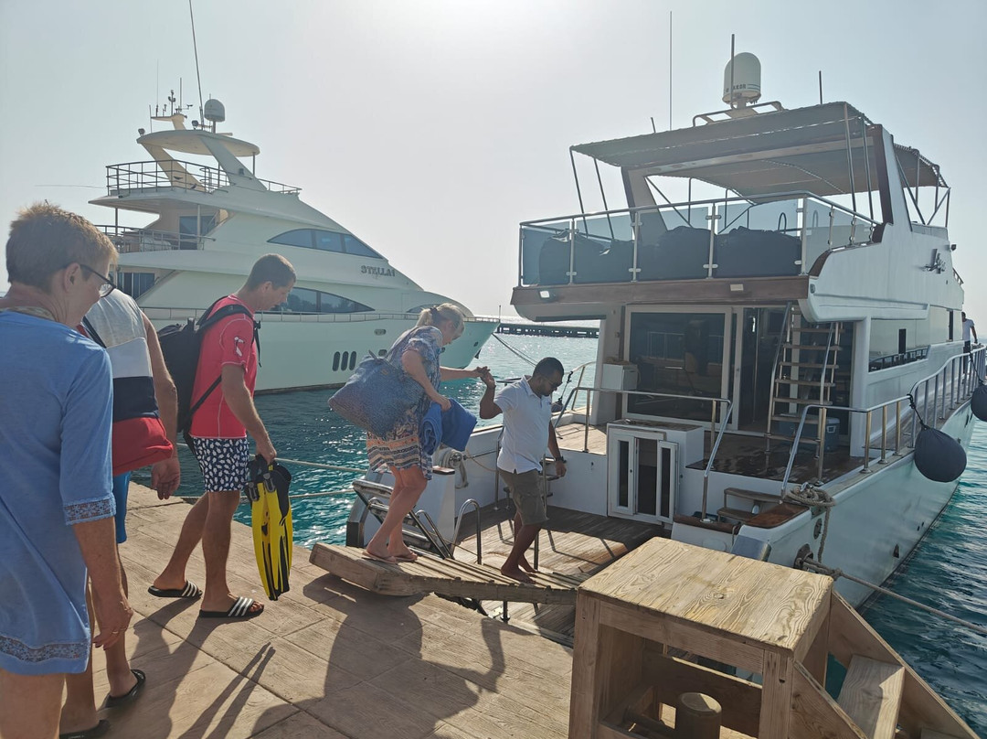 Chill tours-Port Safaga必去景点