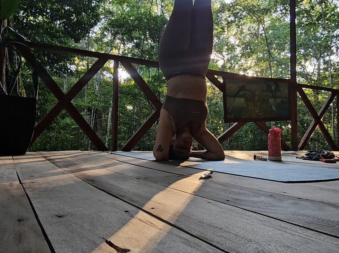 Caboclos House Eco-Lodge主图