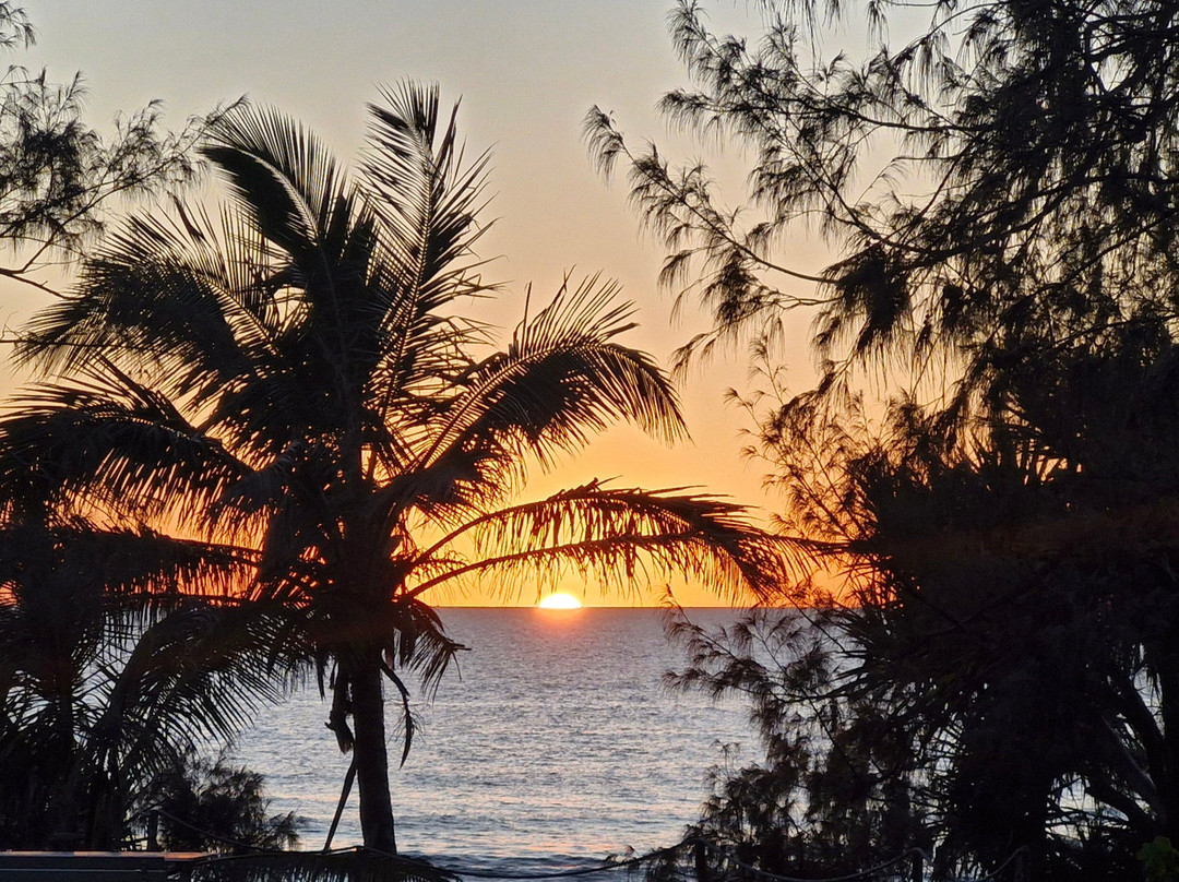 Drop Bear K'gari Fraser Island Adventures-弗雷泽岛必去景点
