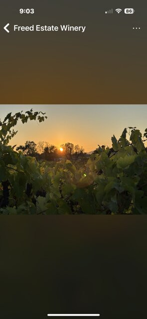 Freed Estate Winery-Winston必去景点