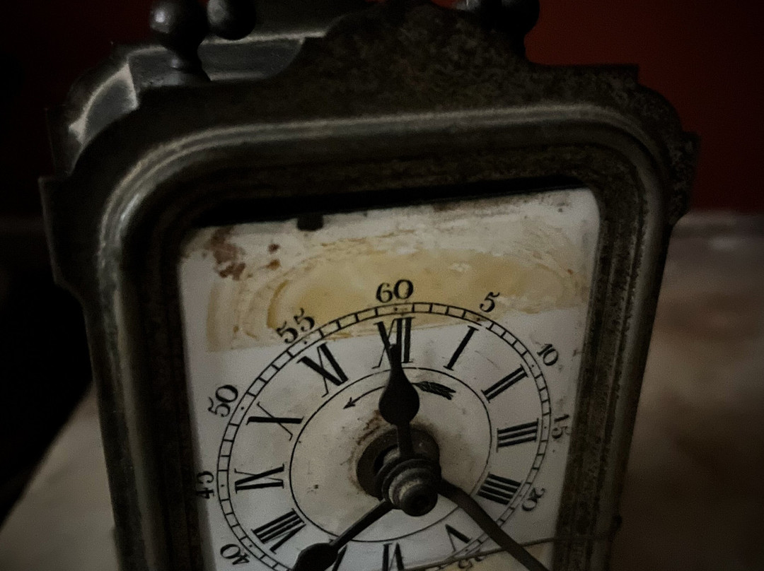 Hôtel-Dieu de Lons-le-Saunier-隆勒索涅必去景点