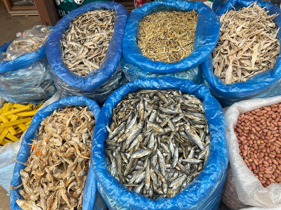 Hayley Webb Mountain Adventures-Hesket Newmarket必去景点