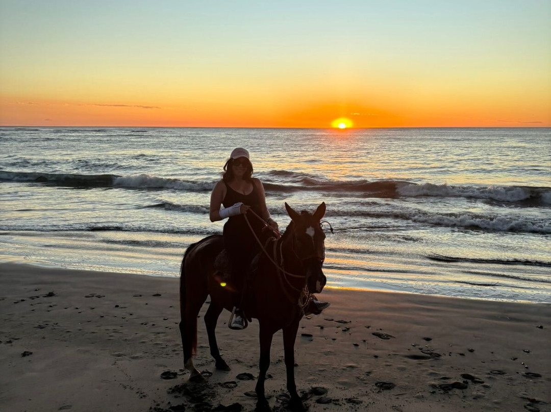 Guti Tours-Playa Avellanas必去景点