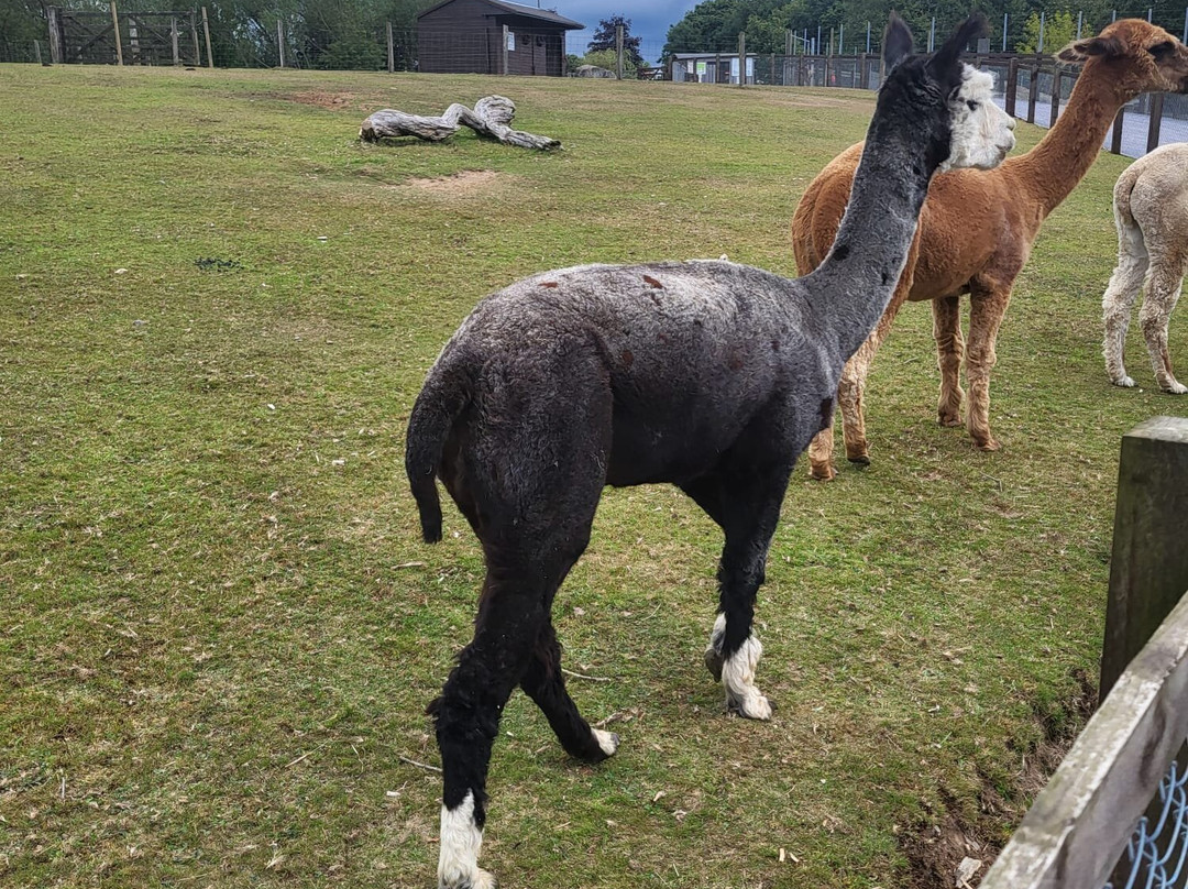 Gypsy Wood Park-卡那封必去景点