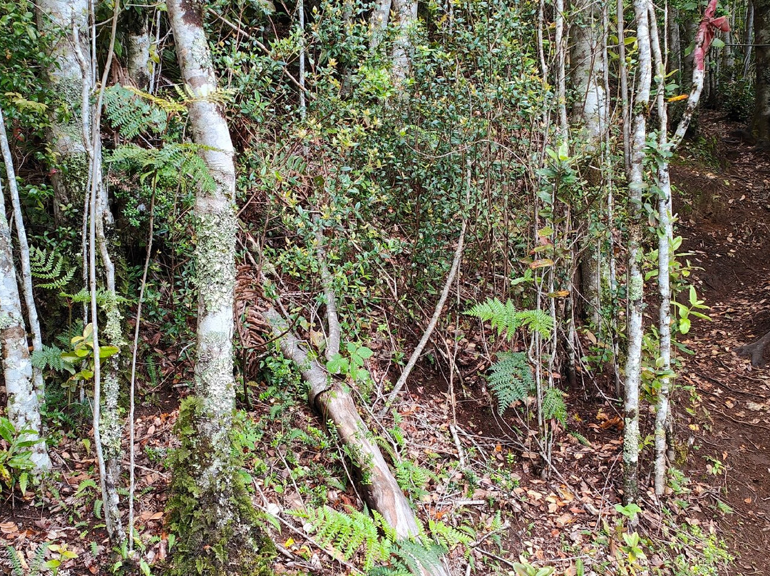 Turismo Costa Norte-Puelo必去景点