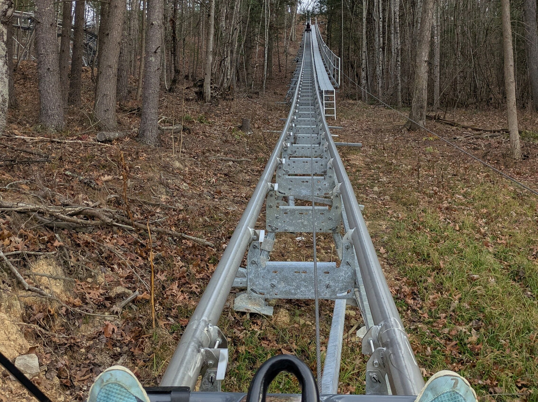 Brush Creek Holl'r Mountain Coaster-普林斯顿必去景点