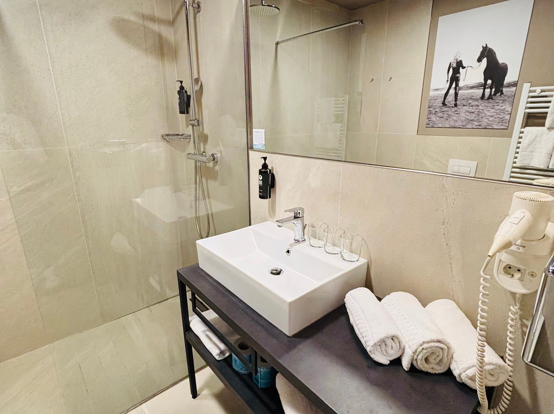 Amedia Milan, Trademark Collection By Wyndham主图