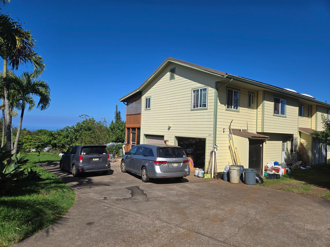 Surf Cat Ranch - Maui Cat Sanctuary