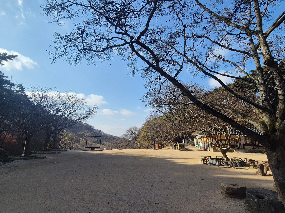 Munsu Temple-瑞山市必去景点