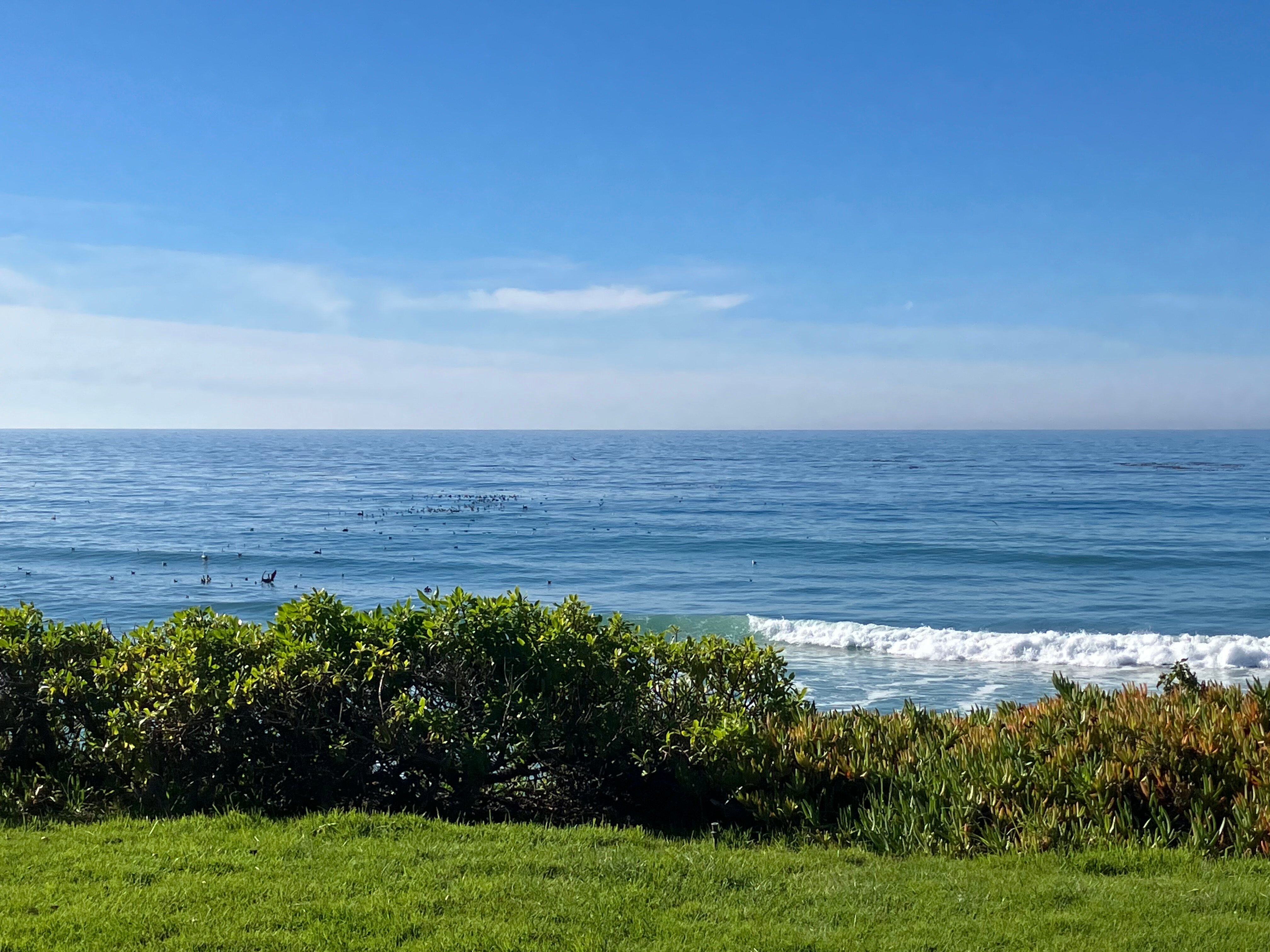 贝斯特韦斯特卡瓦利尔海滨度假酒店-官方