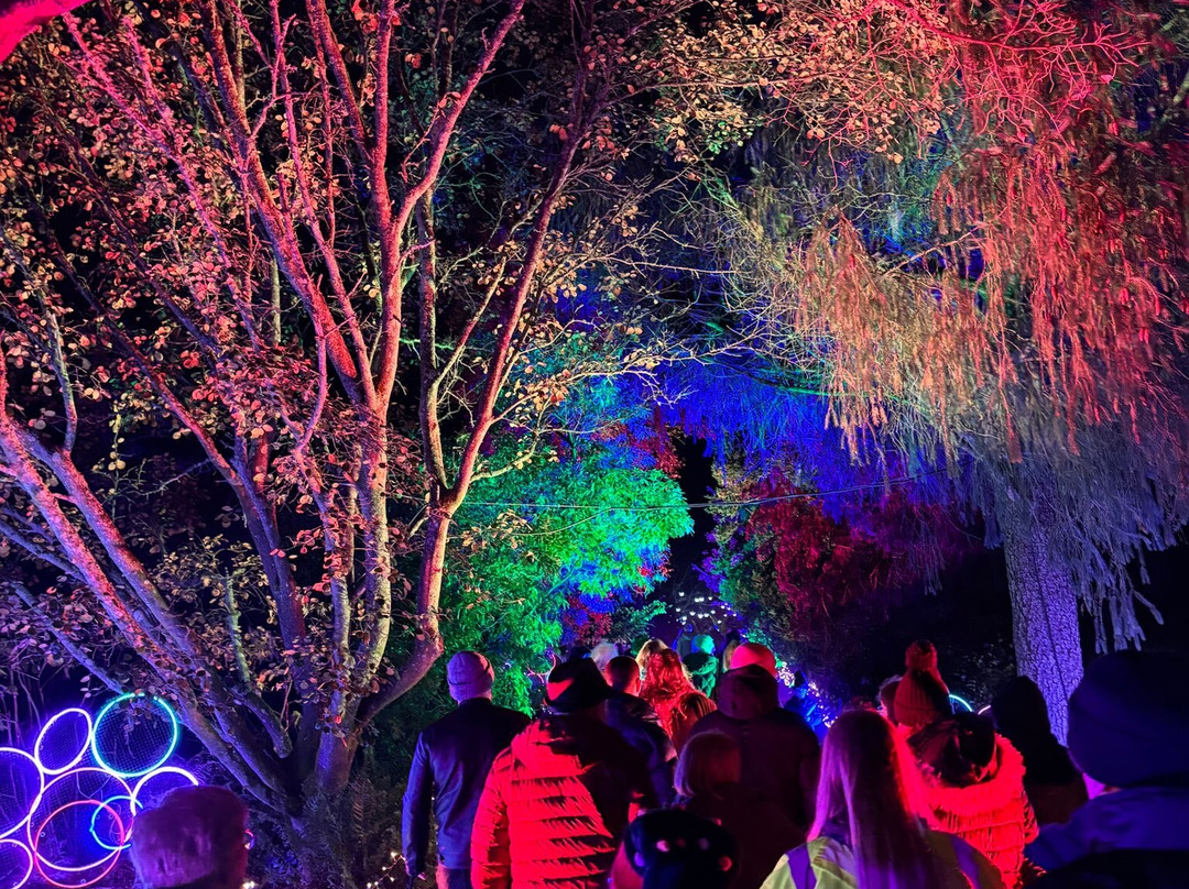 Light Up Trails-罗姆西必去景点