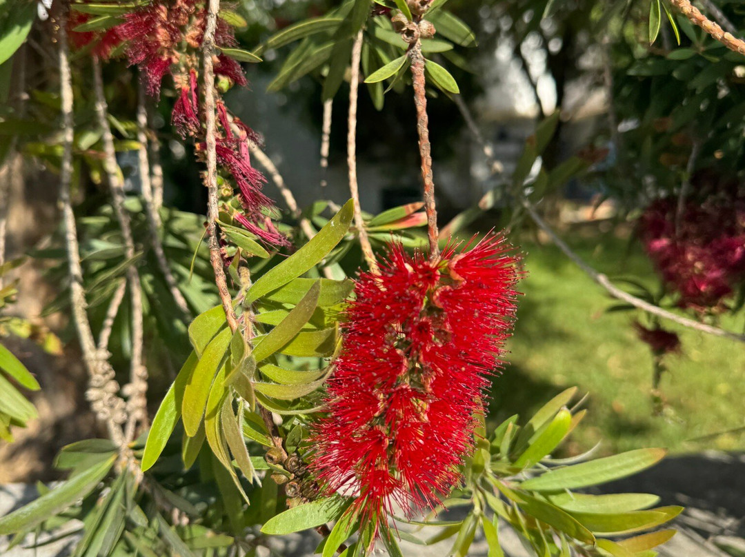 Portugal A2Z Walking & Biking-莱里亚必去景点