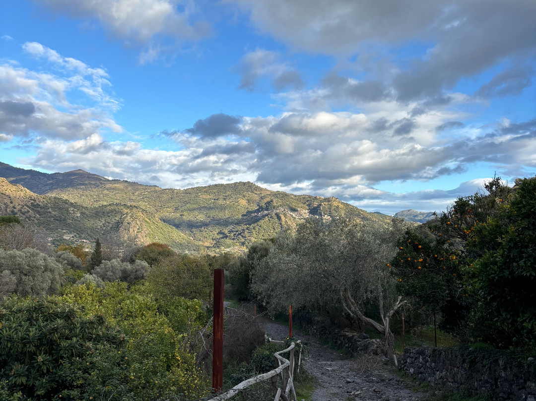 Sicily Active-陶尔米纳必去景点